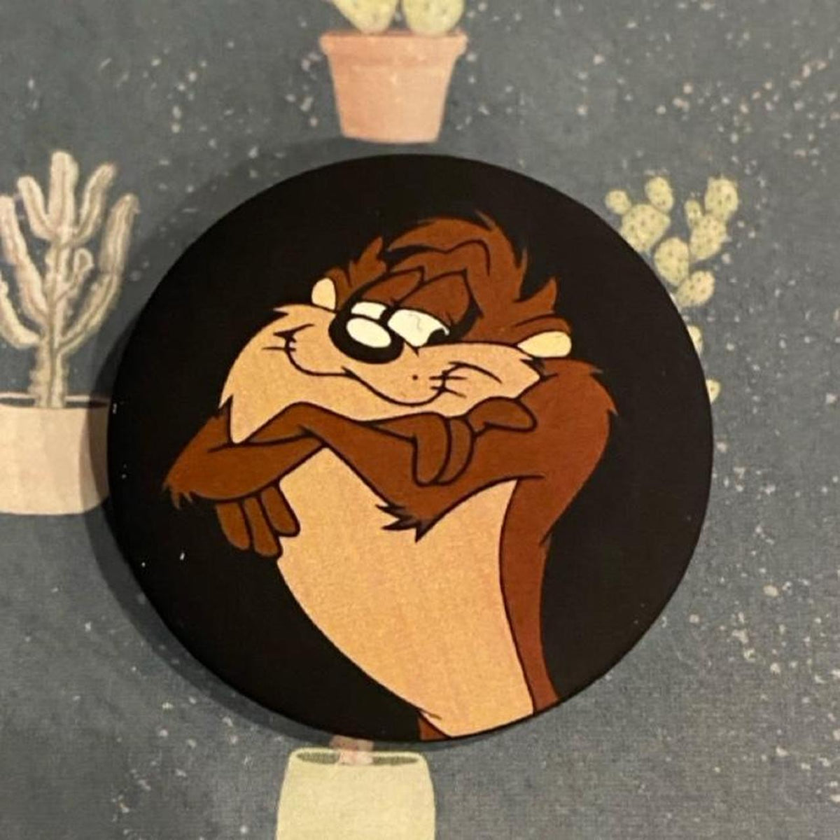 Looney tunes: Taz
