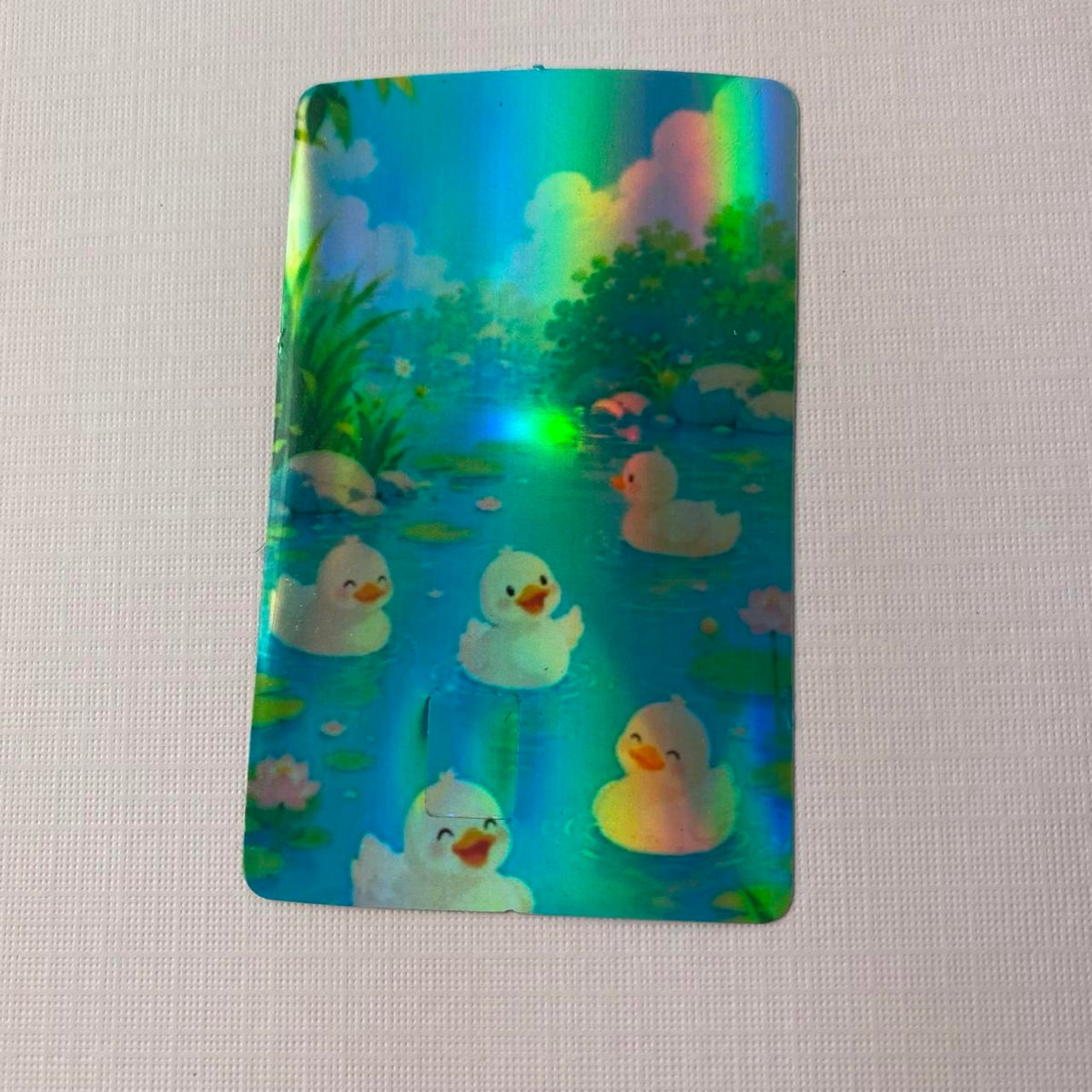 White Ducks in Pond